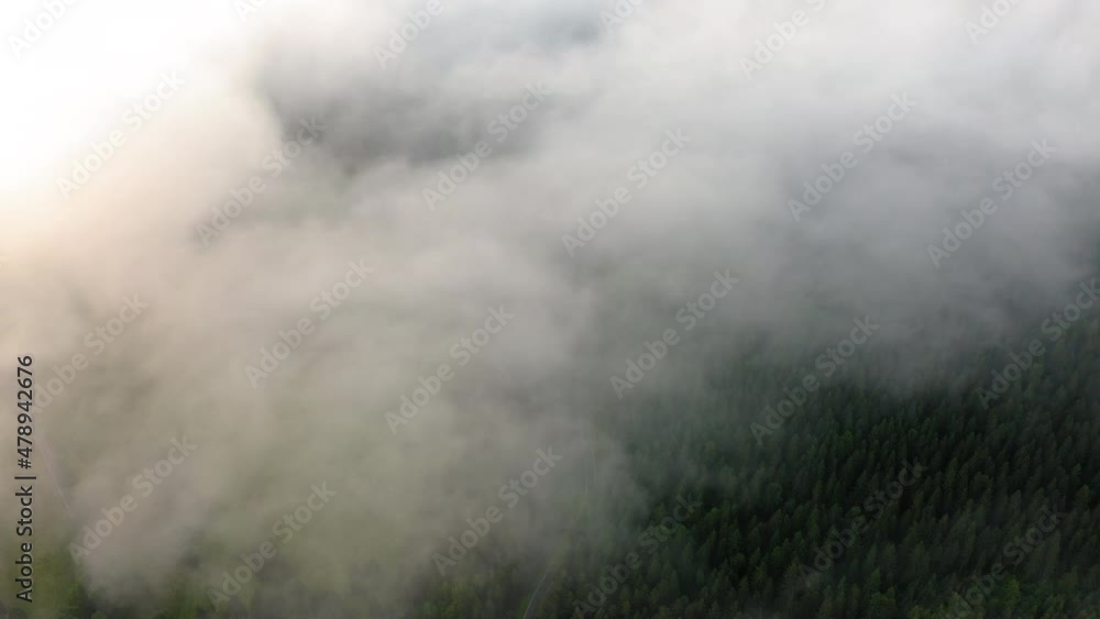 Aerial Scenic View Of White Clouds Moving Over Green Trees In Forest - Thuringia, Germany Aerial Scenic View Of White Clouds Moving Over Green Trees In Forest - Thuringia, Germany