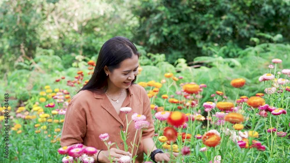 Slow Motion, A young Asian woman with long hair in a brown shirt is admiring colorful flowers in a flower garden on a clear day. Slow Motion, A young Asian woman with long hair in a brown shirt is admiring colorful flowers in a flower garden on a clear day.