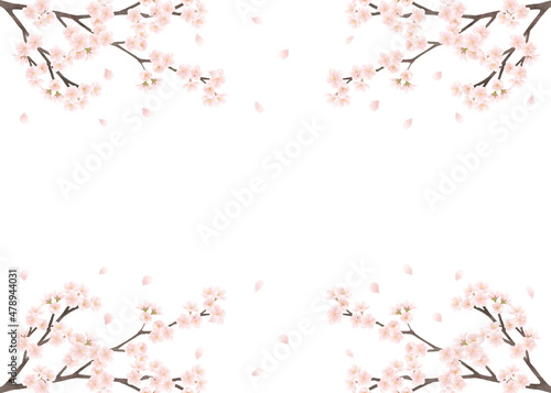桜の花 水彩画 背景素材／Cherry blossom watercolor background material