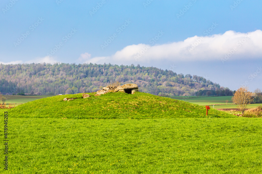 Obraz premium Passage grave on a hill in a rural spring landscape