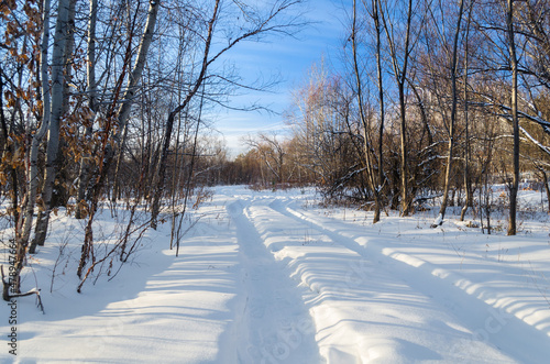 road sunny winter snowy day