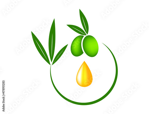 the olive branch and olive oil vector