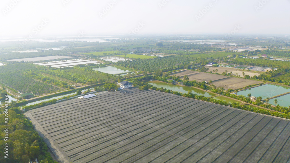 Aerial top view of roof of garden plant industry farm in agriculture concept with paddy rice field. Hydroponic natural food. Crops. Nature landscape background.