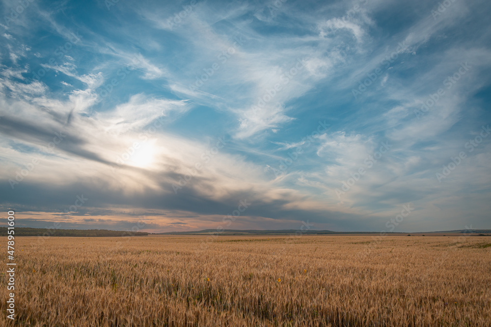 The most beautiful landscape of a field, sky at sunset with white clouds. The most beautiful landscape of a field, sky at sunset with white clouds.