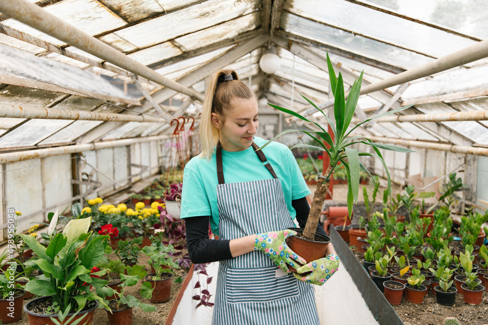 Girl Holding A House Plant Girl Holding A House Plant
