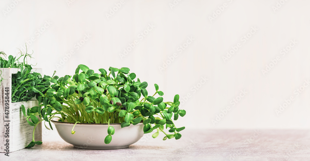 Micro greens superfood. Green peas and sunflower sprouts close up in a bowl. Germination sprouting and healthy eating and living. Gardening at home kitchen concept. Microgreens food. Copy space