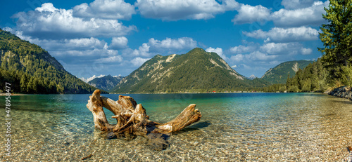Plansee Panorama 