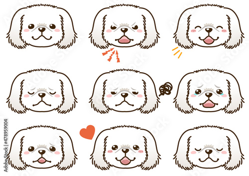 ペキニーズ（白）の表情顔アイコン