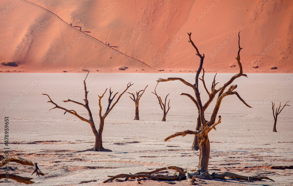Dead Vlei in Namib desert, peoples climbing to top of dune, Namibia, Southern Africa landscape Dead Vlei in Namib desert, peoples climbing to top of dune, Namibia, Southern Africa landscape