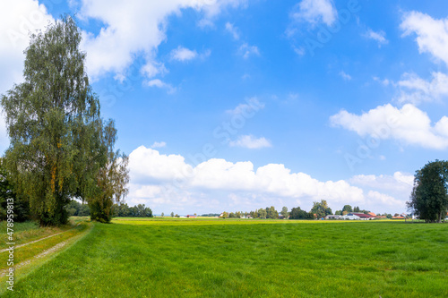 View over green pasture in summer under blue sky with light clouds