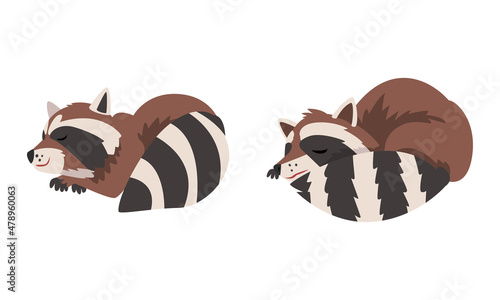 Funny Raccoon with Striped Tail Cuddling and Sleeping Vector Set
