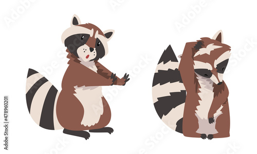 Funny Raccoon with Striped Tail Sitting and Scratching Head Vector Set
