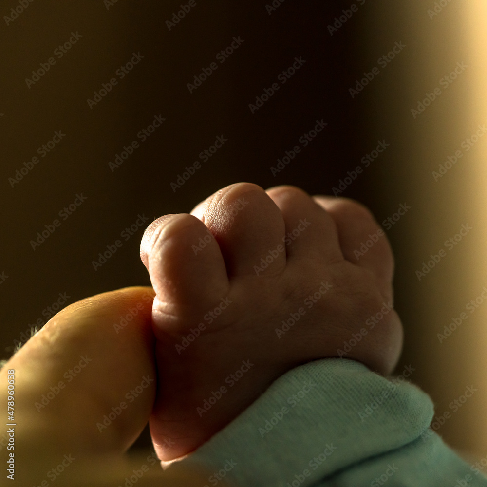 Kleine Hand eines Neugeborenen hält sich an einem Finger des Vaters fest Kleine Hand eines Neugeborenen hält sich an einem Finger des Vaters fest