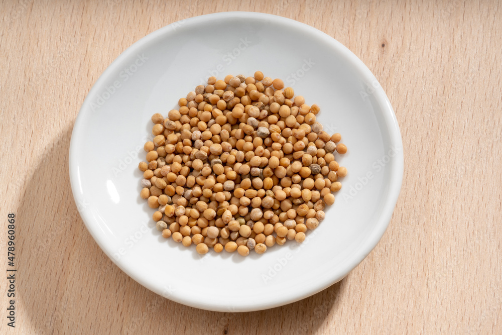 Detailed and large close up shot of mustard seeds on a small plate Detailed and large close up shot of mustard seeds on a small plate