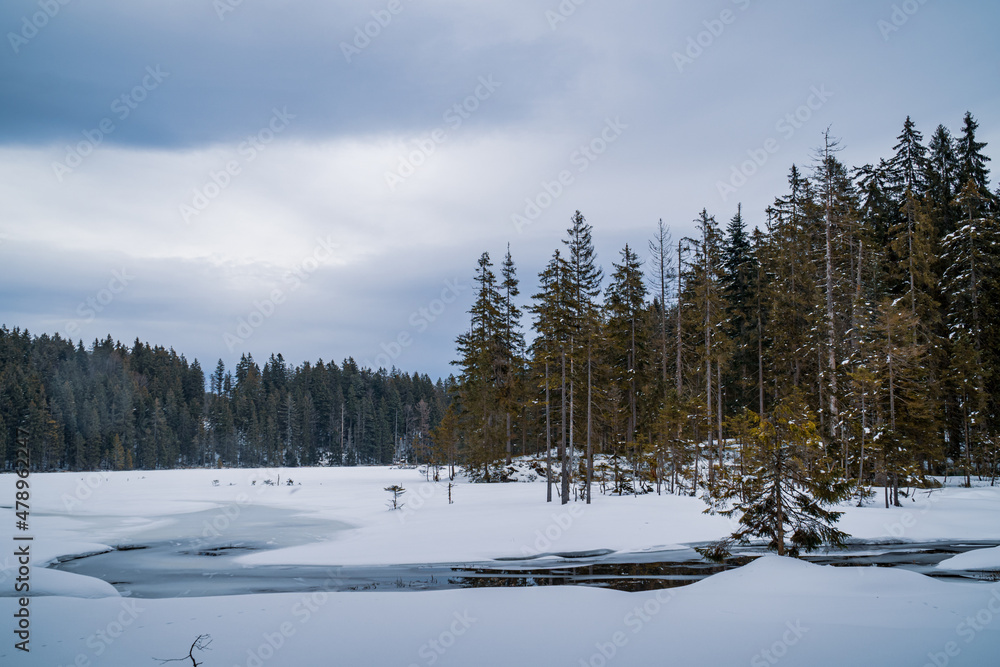 Winter am Großen Arbersee im Bayerischen Wald Winter am Großen Arbersee im Bayerischen Wald