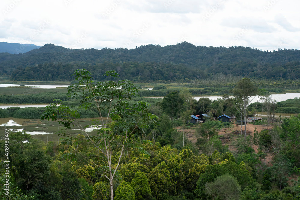 Obraz premium Aerial view of a small settlement of indigenous people on the bank of Lake Chini in Pahang