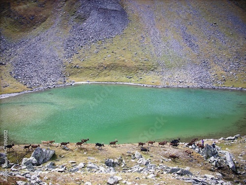 lake in the mountains