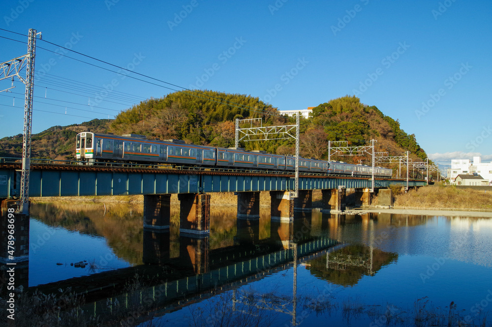 興津川を渡る東海道線の列車