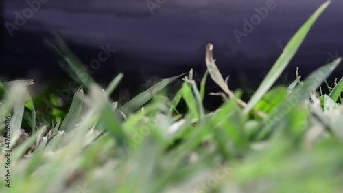 CLOSE UP OF A BICYCLE'S WHEEL ROTATING AND LANDING ON GREEN GRASS, SLOMO photo