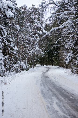 Scenic winter road through forest covered in snow after snowfall © Serg Po