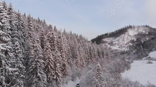 Winter in the mountains. Forest in the snow. Shooting from a quadcopter.