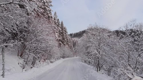Winter in the mountains. Forest in the snow. Shooting from a quadcopter.
