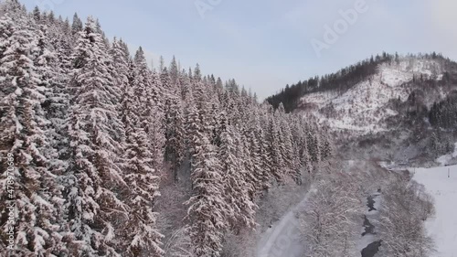 Winter in the mountains. Forest in the snow. Shooting from a quadcopter.