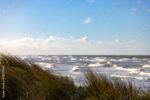 Stormy beach