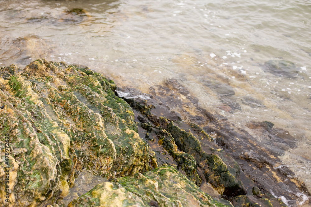 Sea wave and yellow rocks covered by green moss. Photo background with free copy space for text