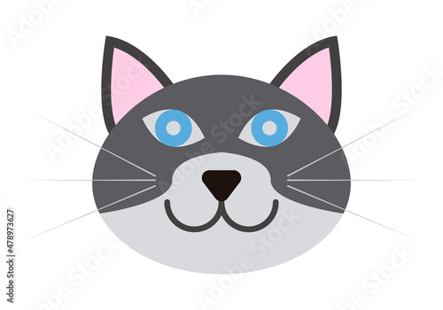 Cara de gato negro y blanco en fondo blanco. 