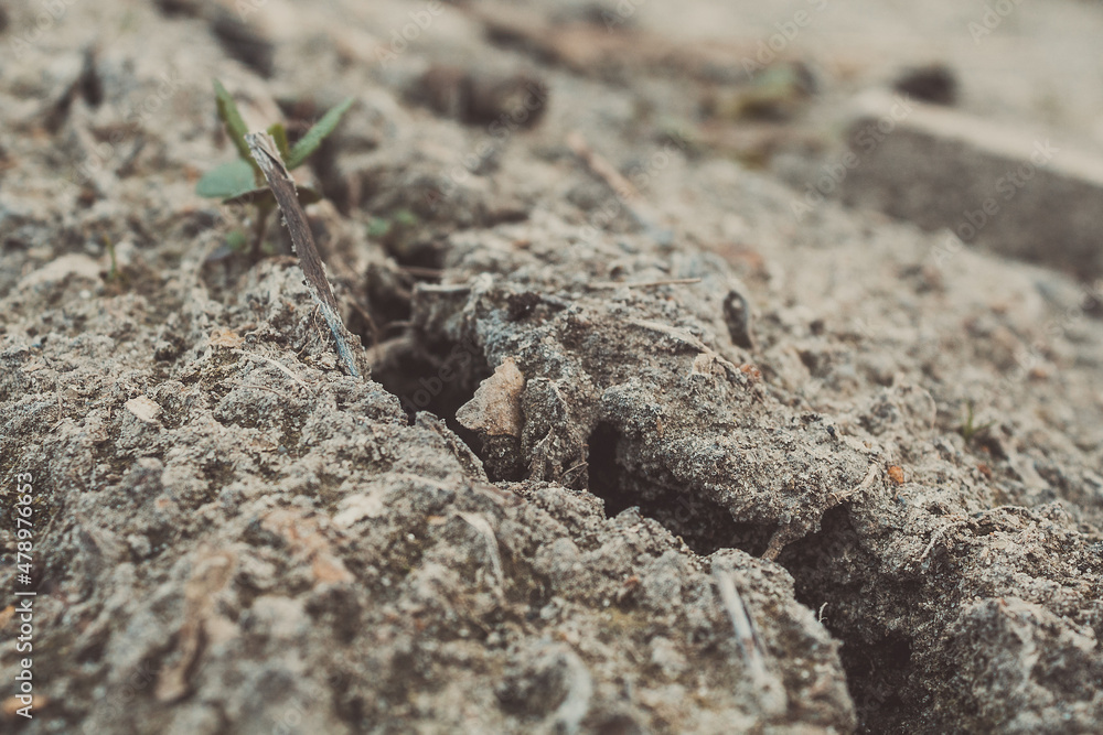 Big hole in the sand. A crack in the ground. Sandy surface