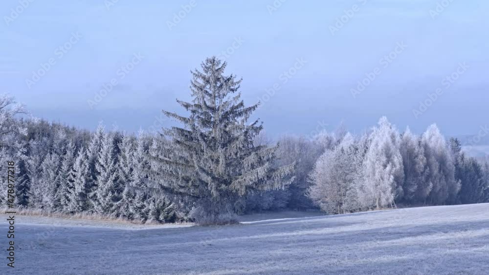 Winter landscape with frozen trees in field and blue sky Winter landscape with frozen trees in field and blue sky