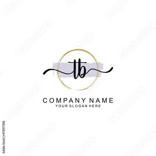 TB Initial handwriting logo with circle hand drawn template vector