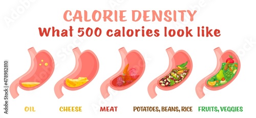 Calorie density. Horizontal poster. Editable vector illustration
