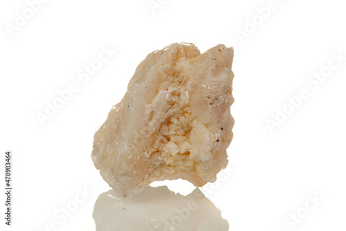 macro mineral stone Amphibolite in quartz on a white background photo