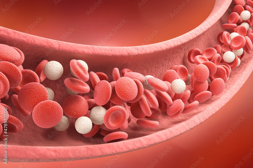 3d illustration of the Blood vessel with flowing Human blood cells. - obrazy, fototapety, plakaty 