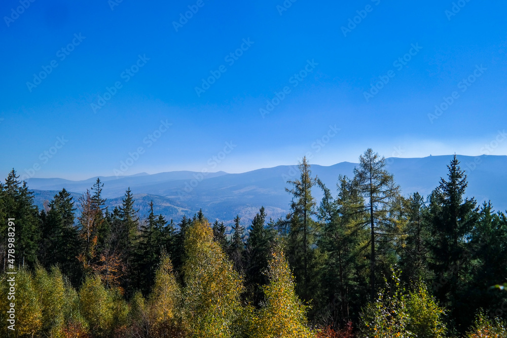 Mountain landscape. Green forest in a foreground.