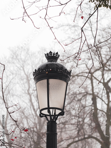 Empty park with vintage lanterns trees covered by white snow. Winter season landscape. Atmospheric city street photo snowy day. Wintertime walk cold weather frost scene.