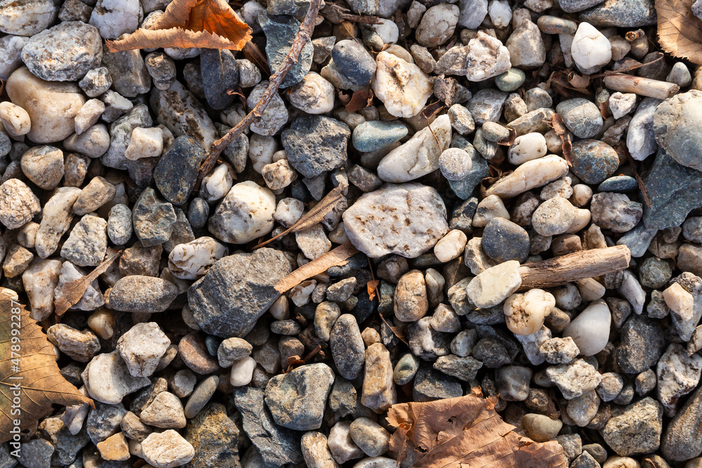 compact soil composed of medium-fine gravel with dry leaves, sunset light compact soil composed of medium-fine gravel with dry leaves, sunset light