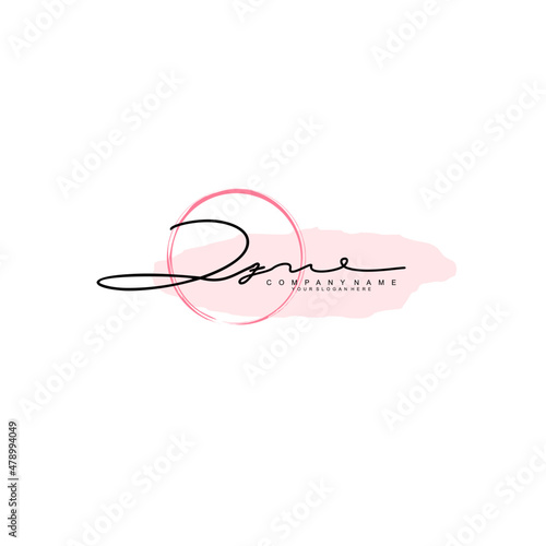 ZZ initial Signature logo template vector