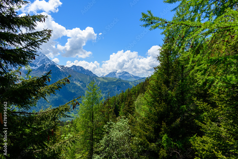 The green forests reveal the Mont Joly and the Col de Voza in the Mont Blanc Massif in Europe, in France, in the Alps, towards Chamonix, in summer, on a sunny day. The green forests reveal the Mont Joly and the Col de Voza in the Mont Blanc Massif in Europe, in France, in the Alps, towards Chamonix, in summer, on a sunny day.