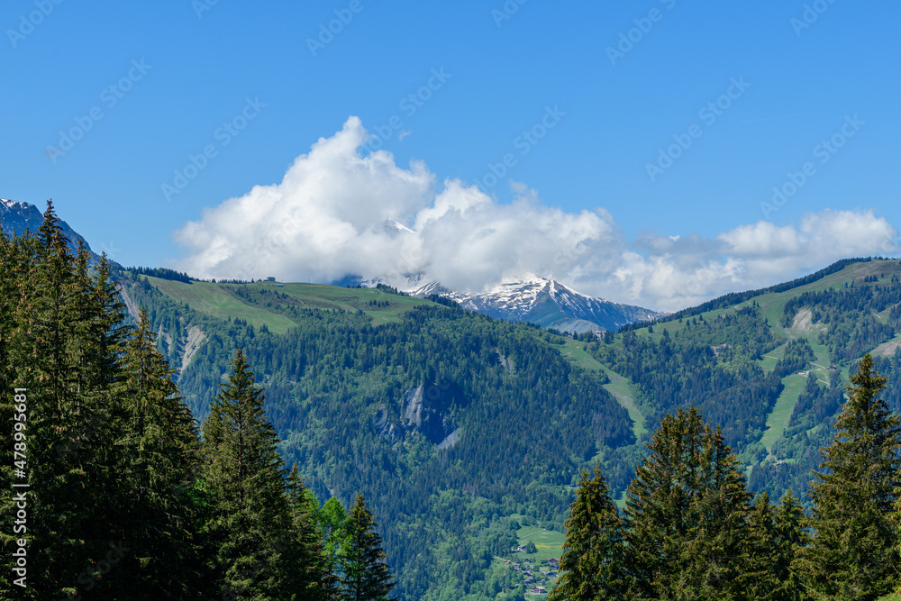 Mont Joly and Col de Voza seen from a coniferous forest in the Mont Blanc Massif in Europe, France, the Alps, towards Chamonix, in summer, on a sunny day.