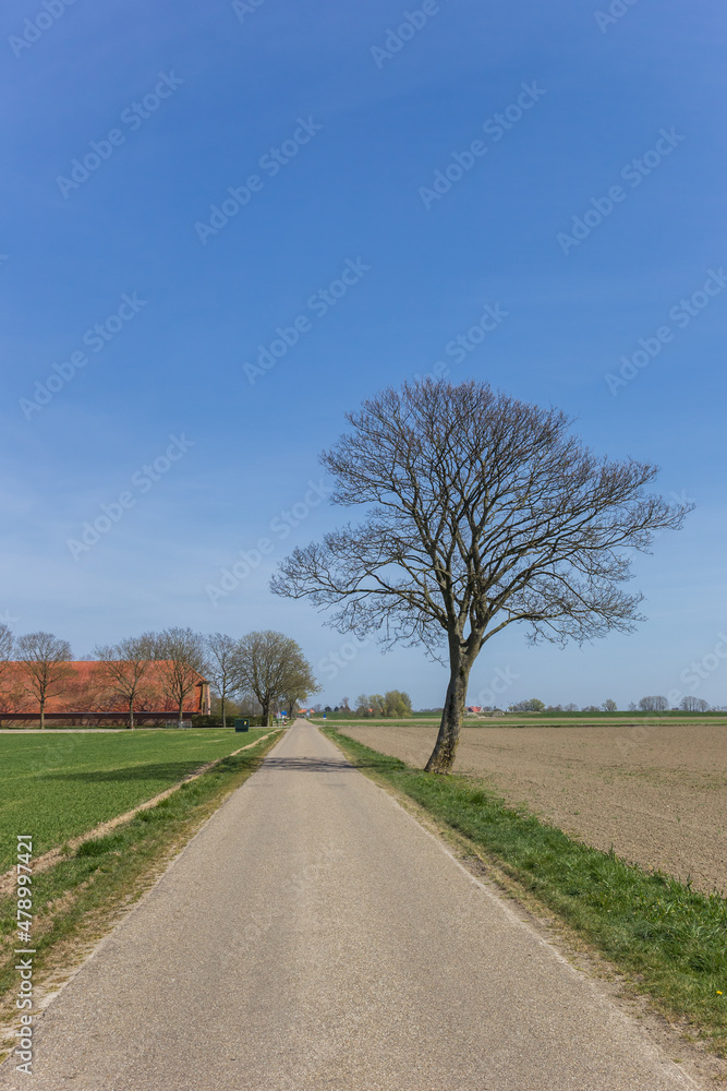 Road leading to a farm in Groningen, Netherlands Road leading to a farm in Groningen, Netherlands