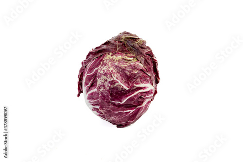 Freshly harvested radicchio or polorosso on isolated white background