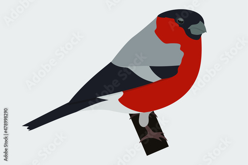 Bullfinch sitting on a tree branch