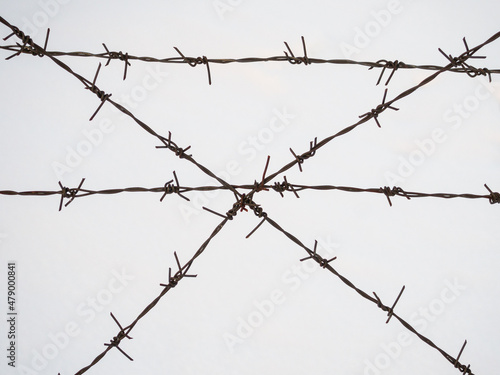 silhouette of the barbed wire on white background.
