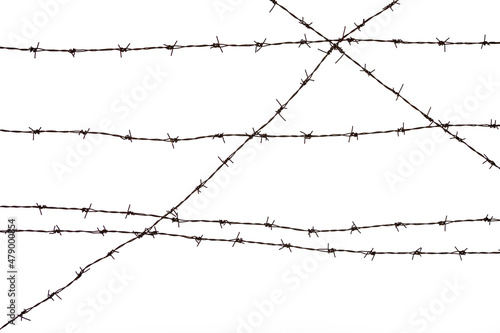 silhouette of the barbed wire on white background.