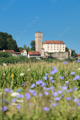 Guttenberg Castle near Gundelsheim, Neckartal Valley, Baden-Wurttemberg photo