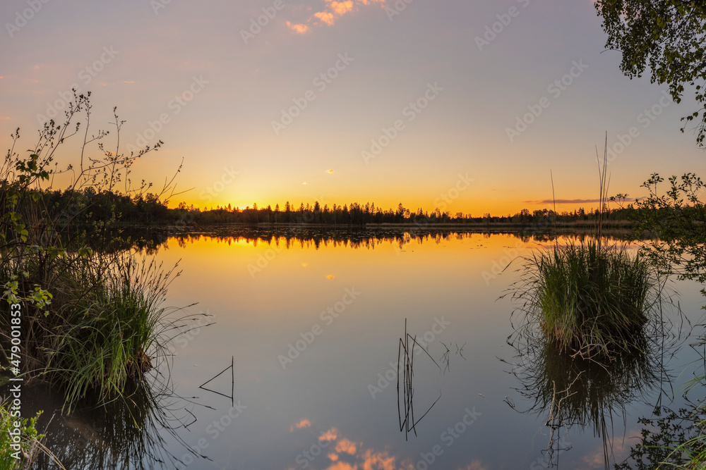 Riedsee lake in the high moor Wurzacher Ried, Bad Wurzach, Upper Swabia, Baden-Wurttemberg Riedsee lake in the high moor Wurzacher Ried, Bad Wurzach, Upper Swabia, Baden-Wurttemberg