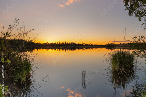 Riedsee lake in the high moor Wurzacher Ried, Bad Wurzach, Upper Swabia, Baden-Wurttemberg photo